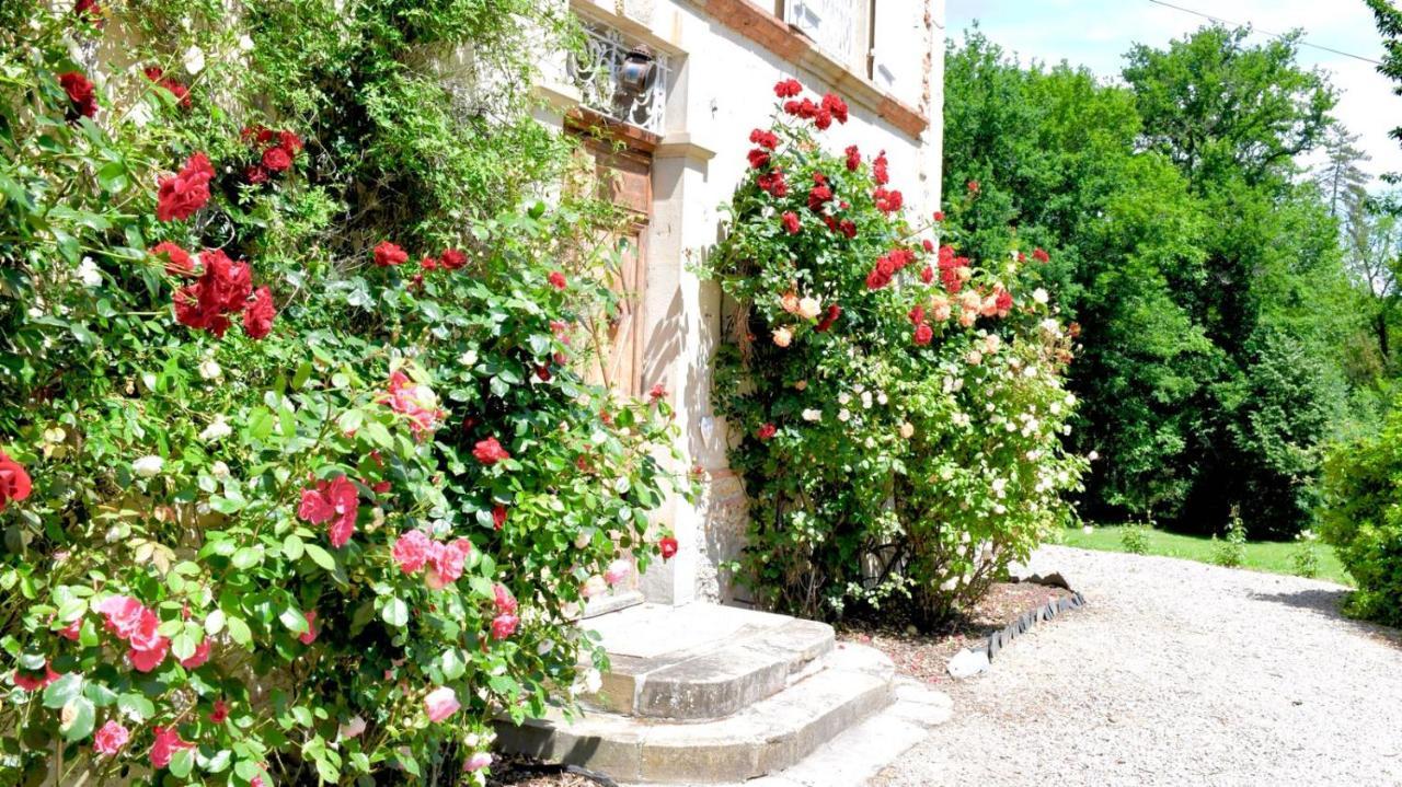 Chateau De Belespy La Bastide-de-Besplas Eksteriør billede